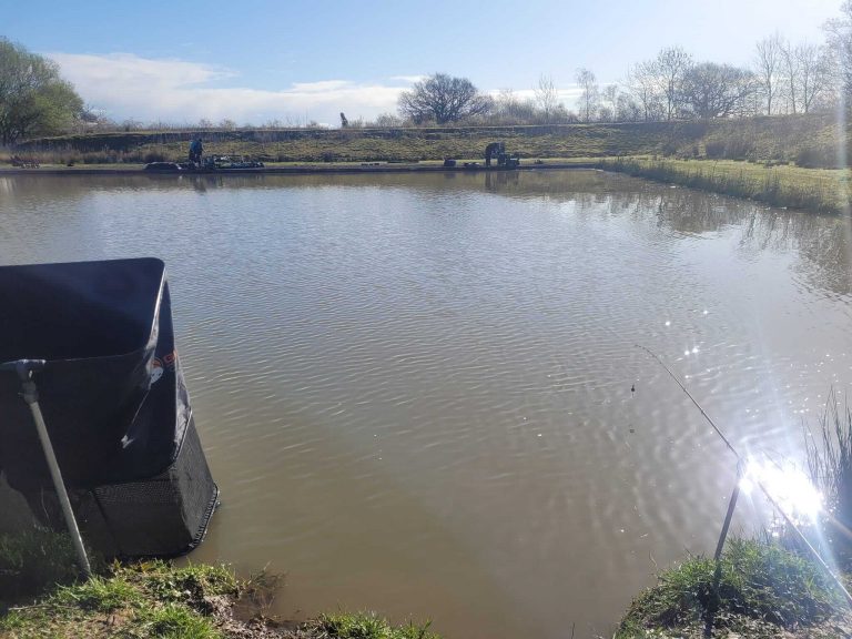 Tollerton Pond